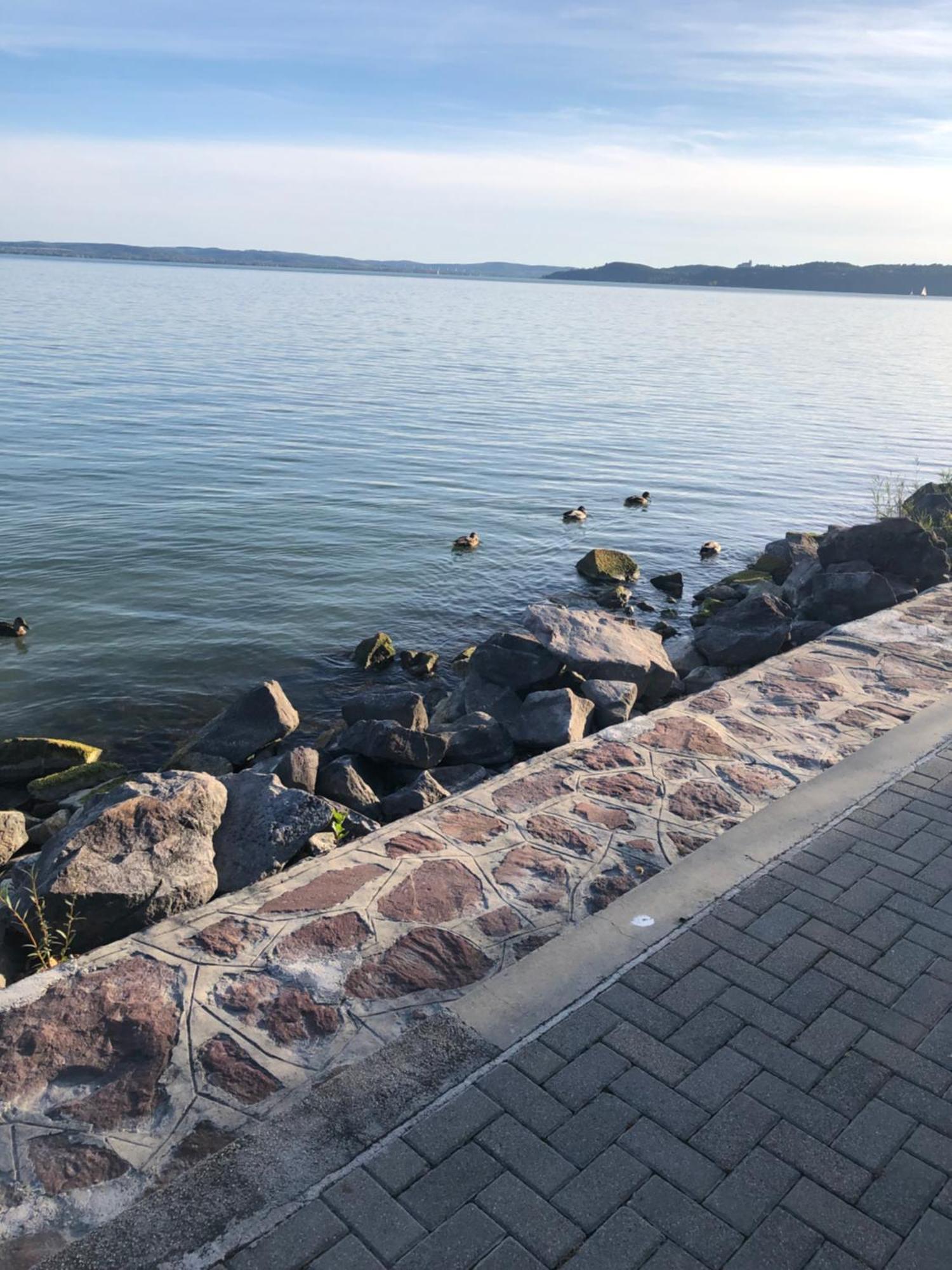 Sun&Fun Vendeghaz Villa Balatonakarattya Buitenkant foto